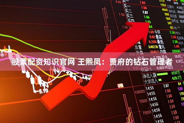 股票配资知识官网 王熙凤：贾府的钻石管理者