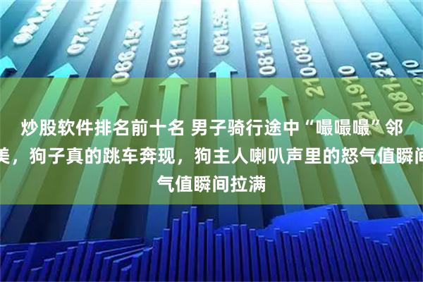 炒股软件排名前十名 男子骑行途中“嘬嘬嘬”邻车博美，狗子真的跳车奔现，狗主人喇叭声里的怒气值瞬间拉满
